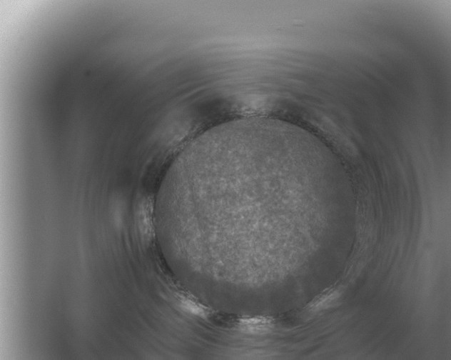 X0000067500240200604150115