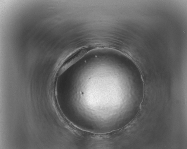 X0000067500241200604150115