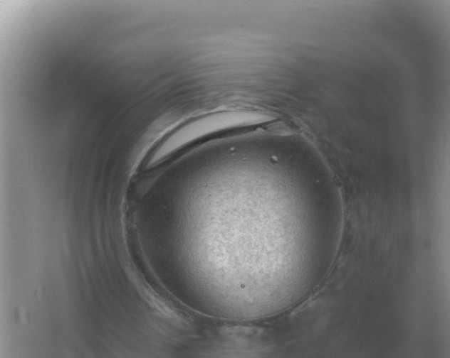 X0000067500242200604150115