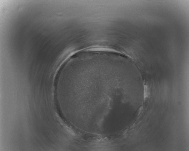 X0000067500243200604150115