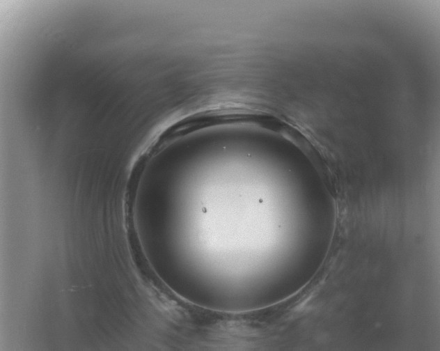 X0000067500244200604150115