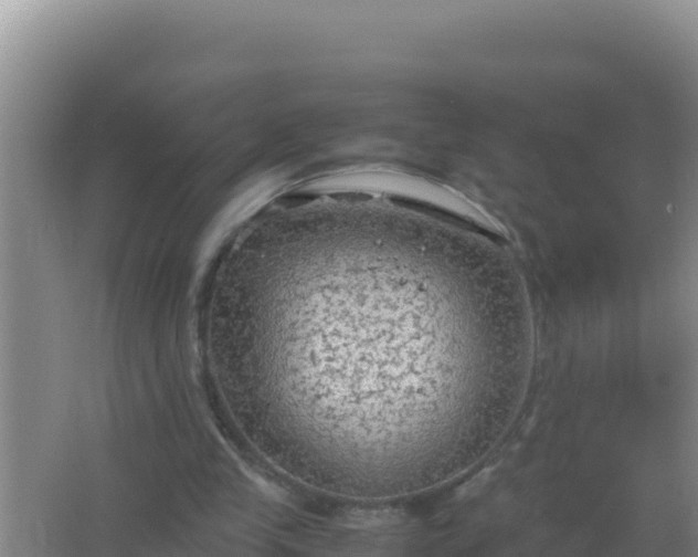 X0000067500245200604150115