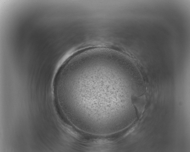 X0000067500246200604150115