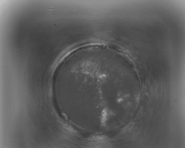 X0000067500247200604150115