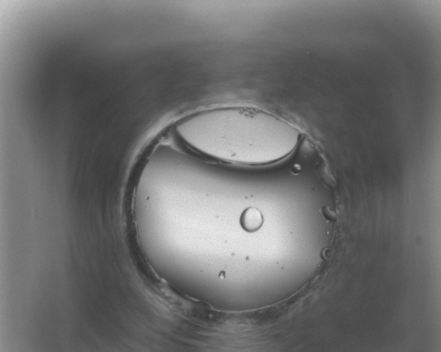 X0000067500248200604150115