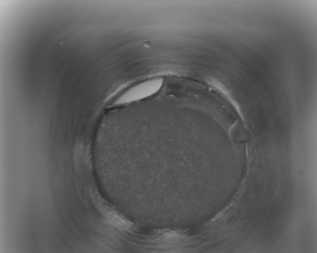 X0000067500249200604150115