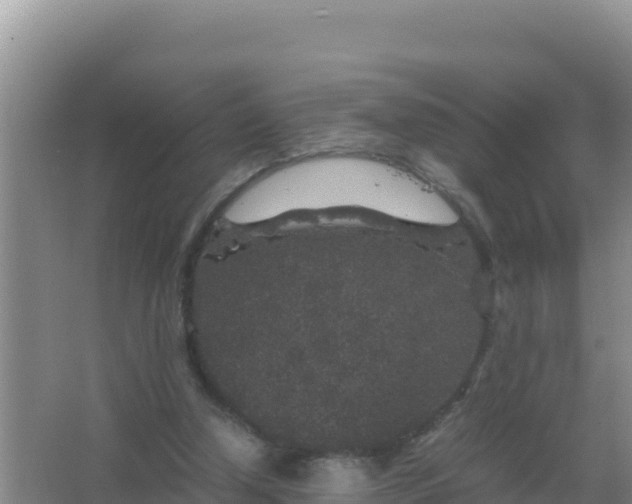 X0000067500250200604150115