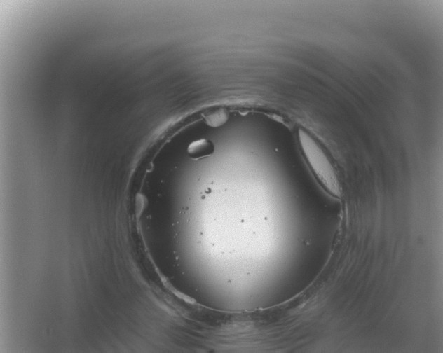 X0000067500252200604150115