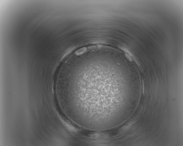 X0000067500253200604150115