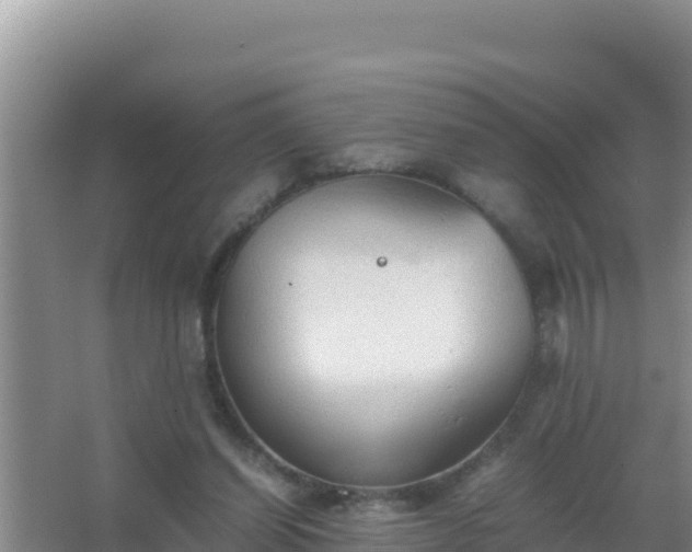 X0000067500254200604150115