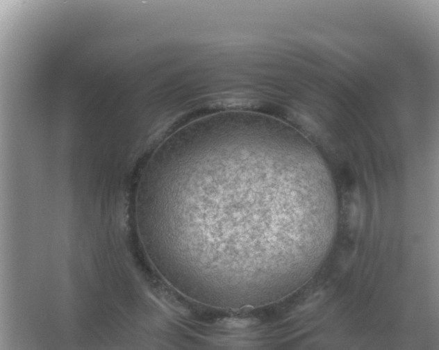 X0000067500255200604150115