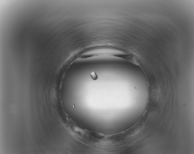 X0000067500256200604150115