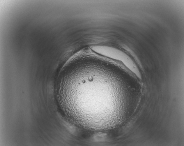 X0000067500257200604150115