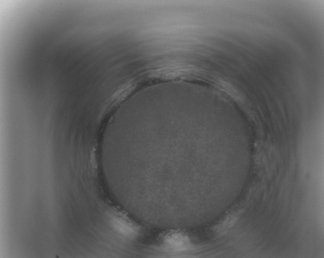 X0000067500258200604150115