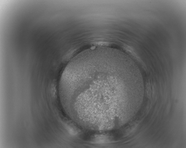 X0000067500259200604150115