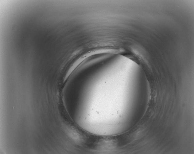 X0000067500260200604150115