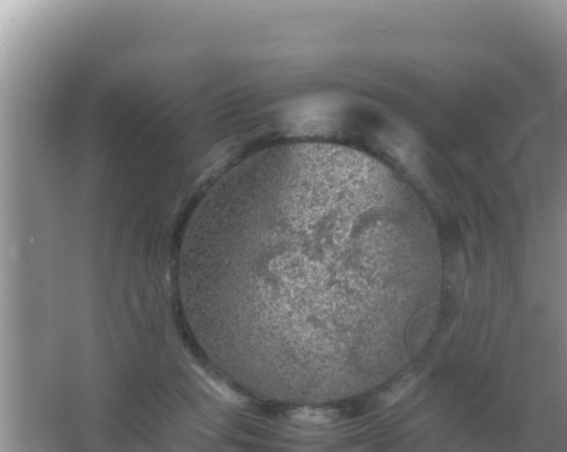 X0000067500261200604150115