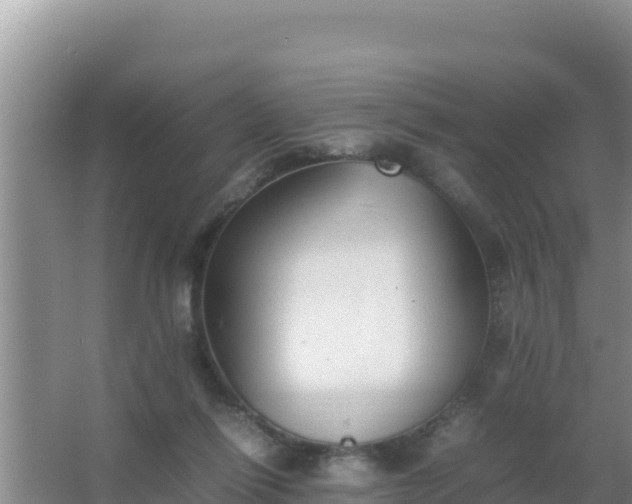 X0000067500262200604150115