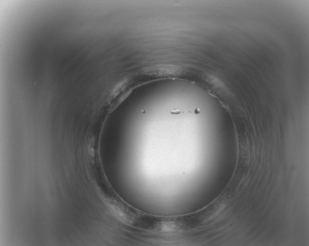 X0000067500264200604150115