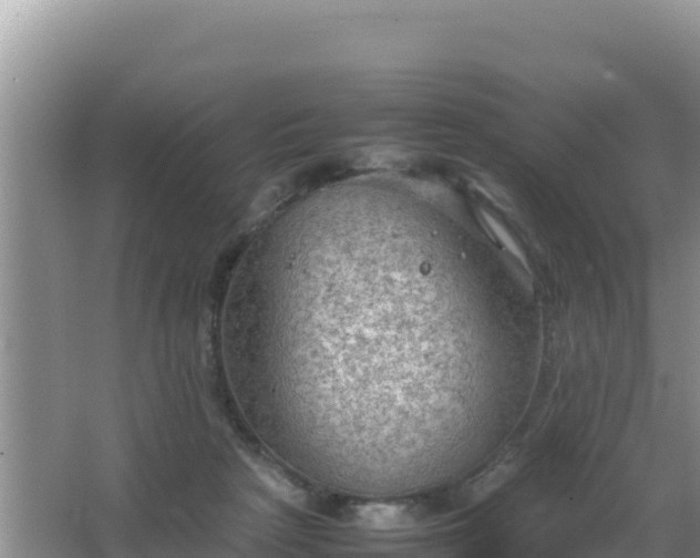 X0000067500265200604150115