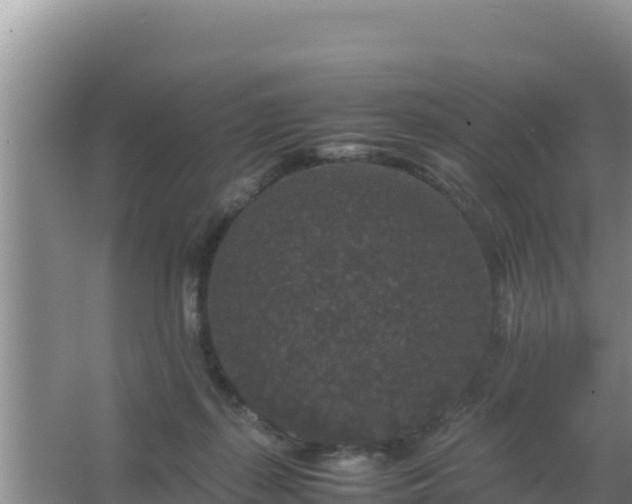 X0000067500267200604150115