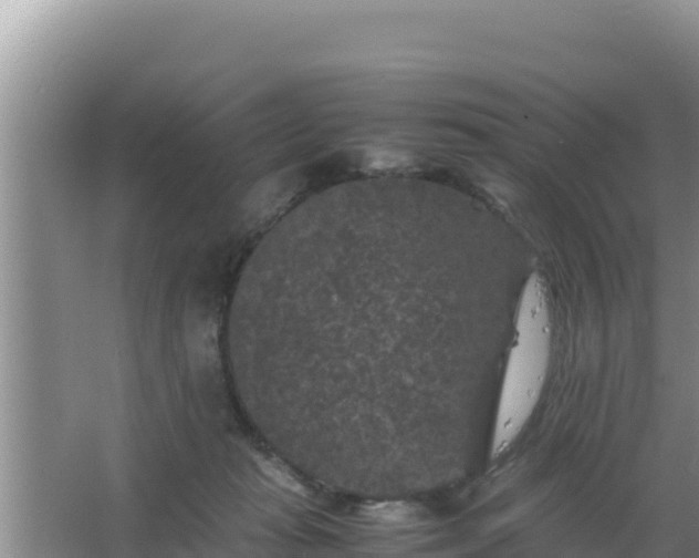 X0000067500269200604150115