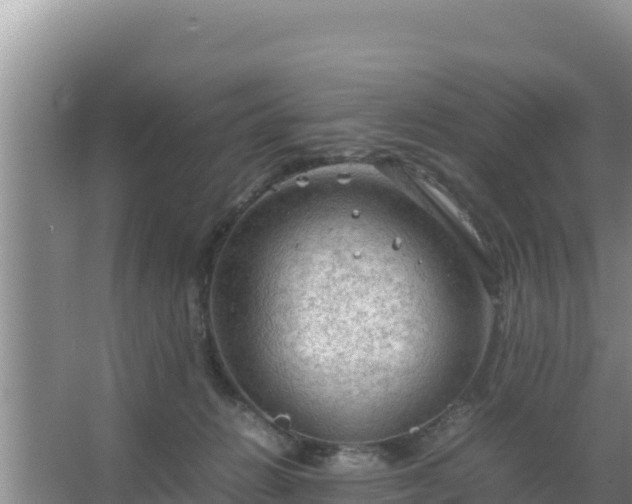 X0000067500270200604150115