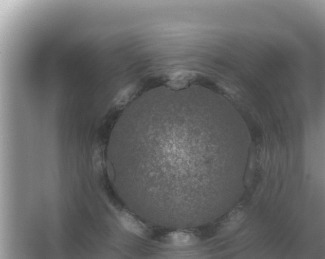 X0000067500272200604150115