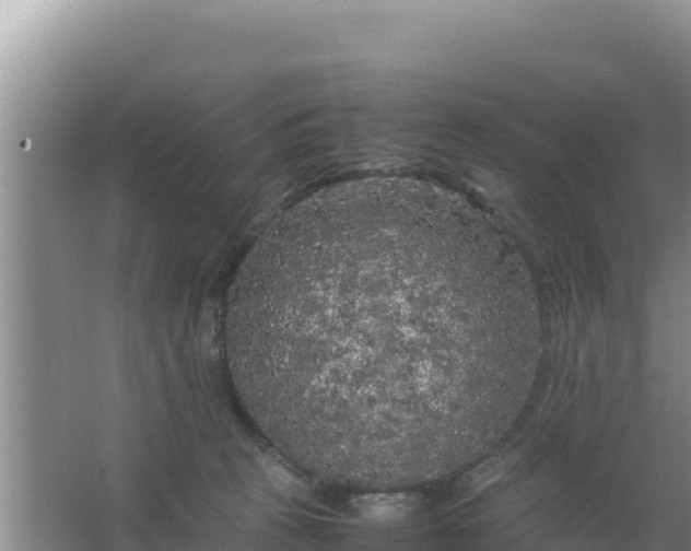 X0000067500273200604150115