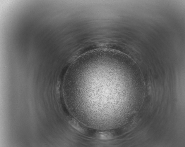 X0000067500275200604150115