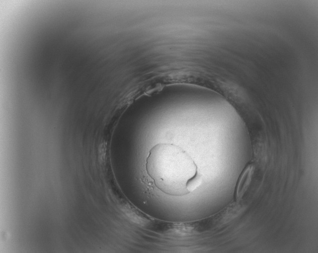 X0000067500278200604150115