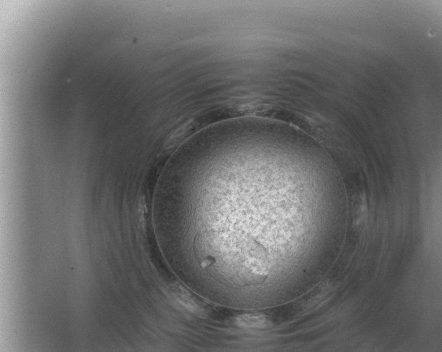 X0000067500279200604150115