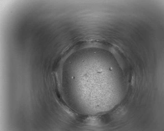 X0000067500280200604150115