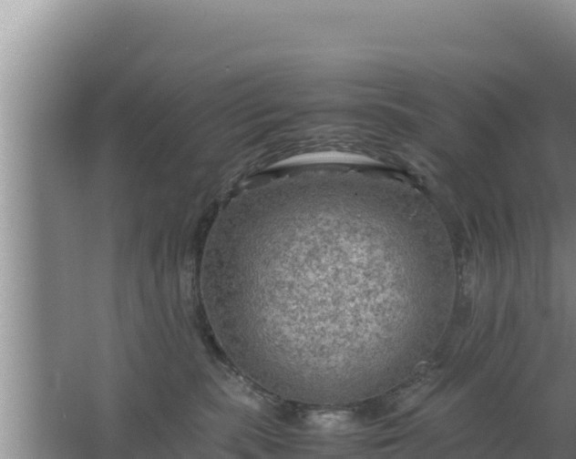 X0000067500283200604150115