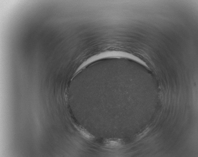 X0000067500285200604150115