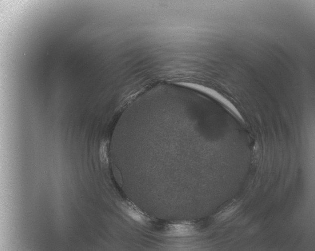 X0000067500286200604150115