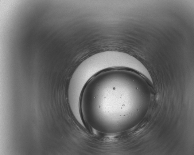 X0000067500287200604150115