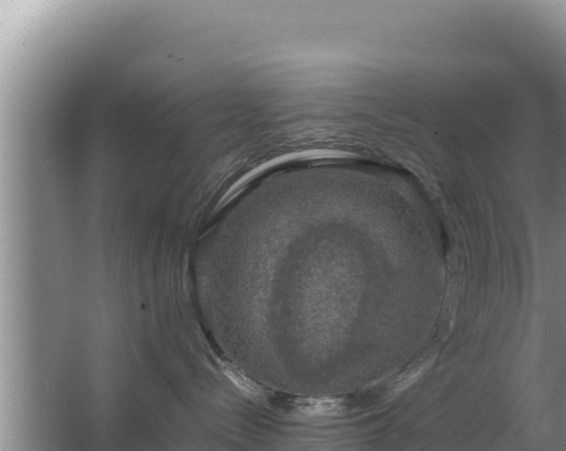 X0000067500288200604150115