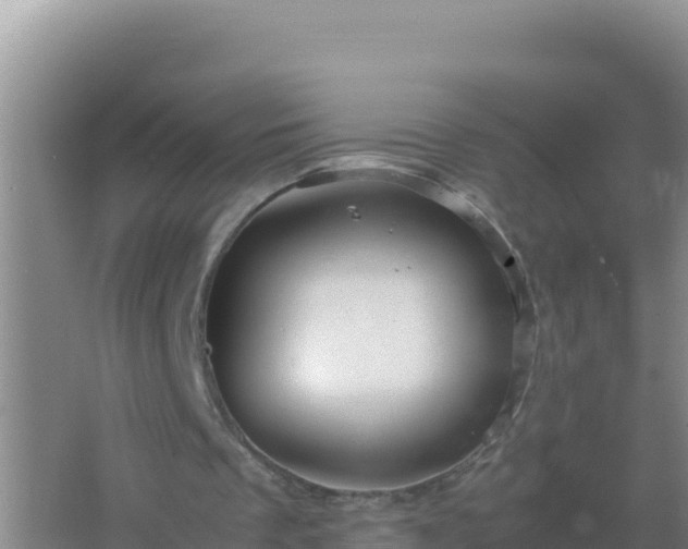 X0000067500289200604150115