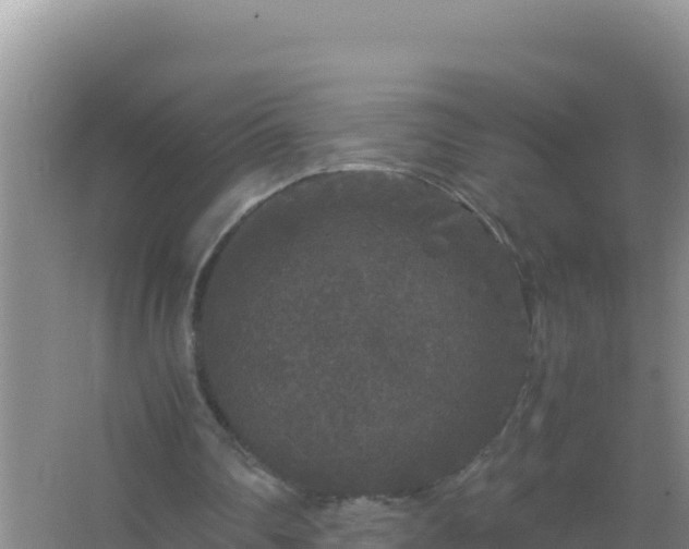 X0000067500290200604150115