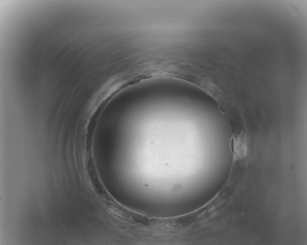 X0000067500291200604150115