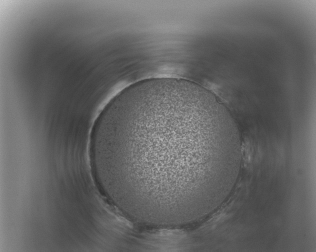 X0000067500292200604150115