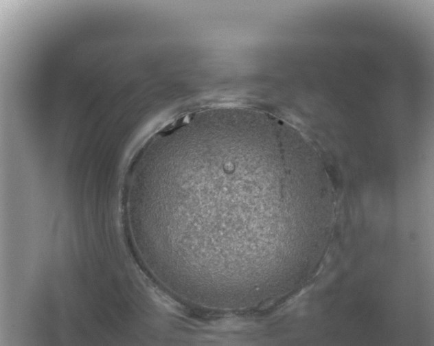 X0000067500293200604150115