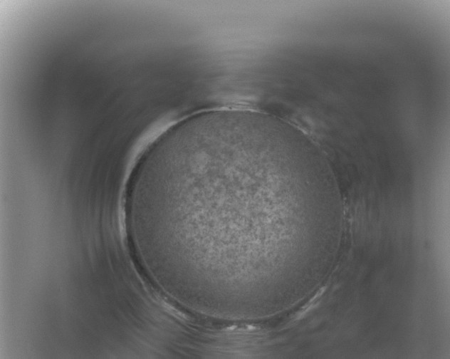 X0000067500294200604150115