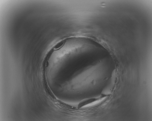 X0000067500295200604150115