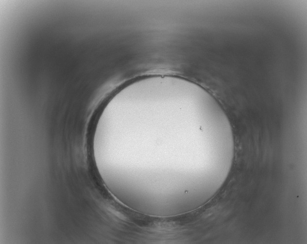 X0000067500296200604150115