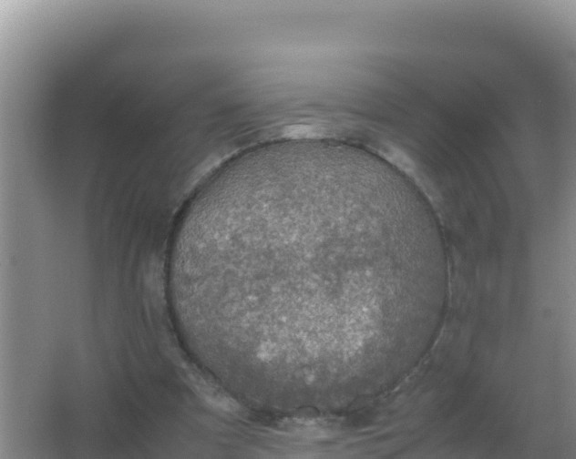 X0000067500297200604150115