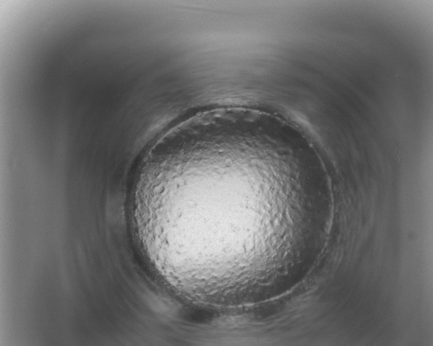 X0000067500299200604150114