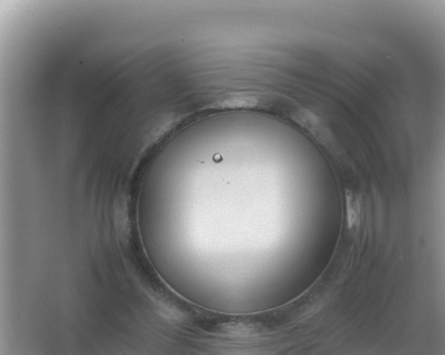 X0000067500300200604150114