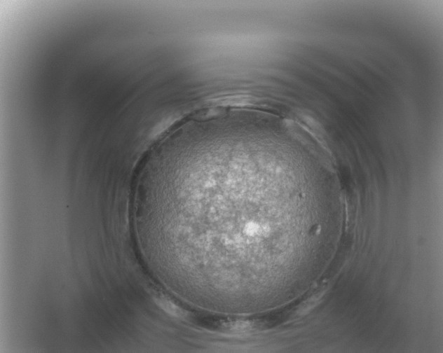 X0000067500301200604150114